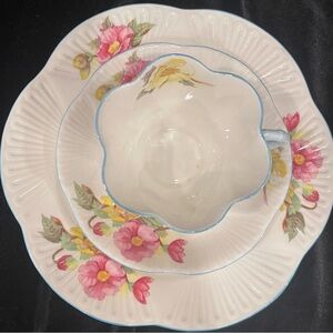 Shelley tea cup, saucer and 7 inch plate in Begonia pattern.